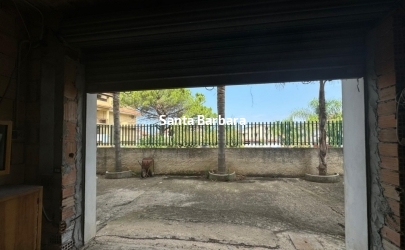 IMG_6671