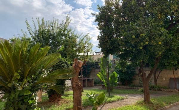Ingresso indipendente, giardino privato di 500 mq e cantina