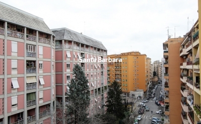 vista 1